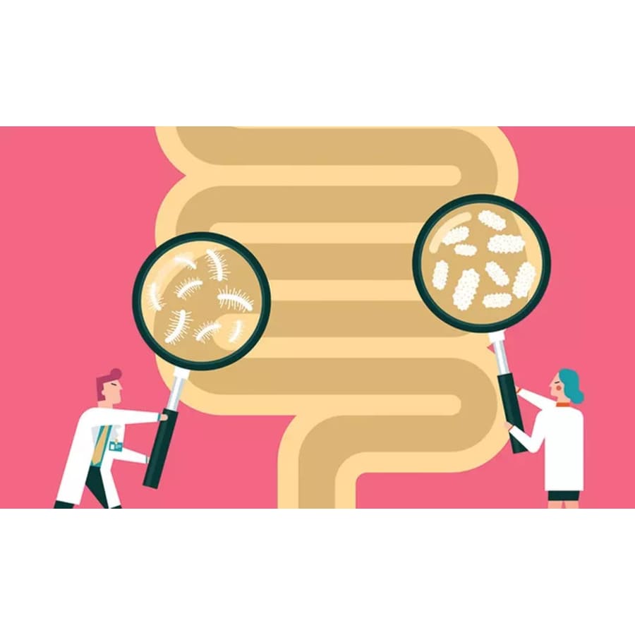 At-Home Food Sensitivity Test: $38 At-Home Food Sensitivity Test: $38