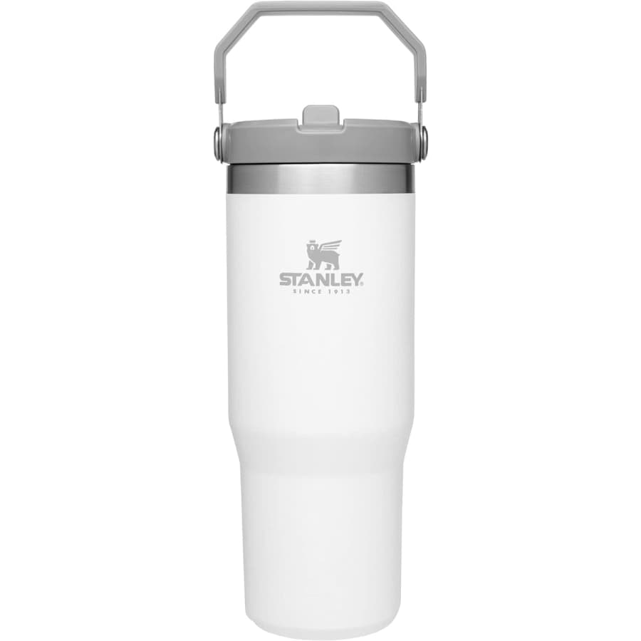 Stanley IceFlow 30-oz. Stainless Steel Tumbler with Straw: $26 Stanley IceFlow 30-oz. Stainless Steel Tumbler with Straw: $26