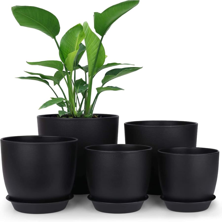 Homenote Planter Pot 5-Pack: $8.99