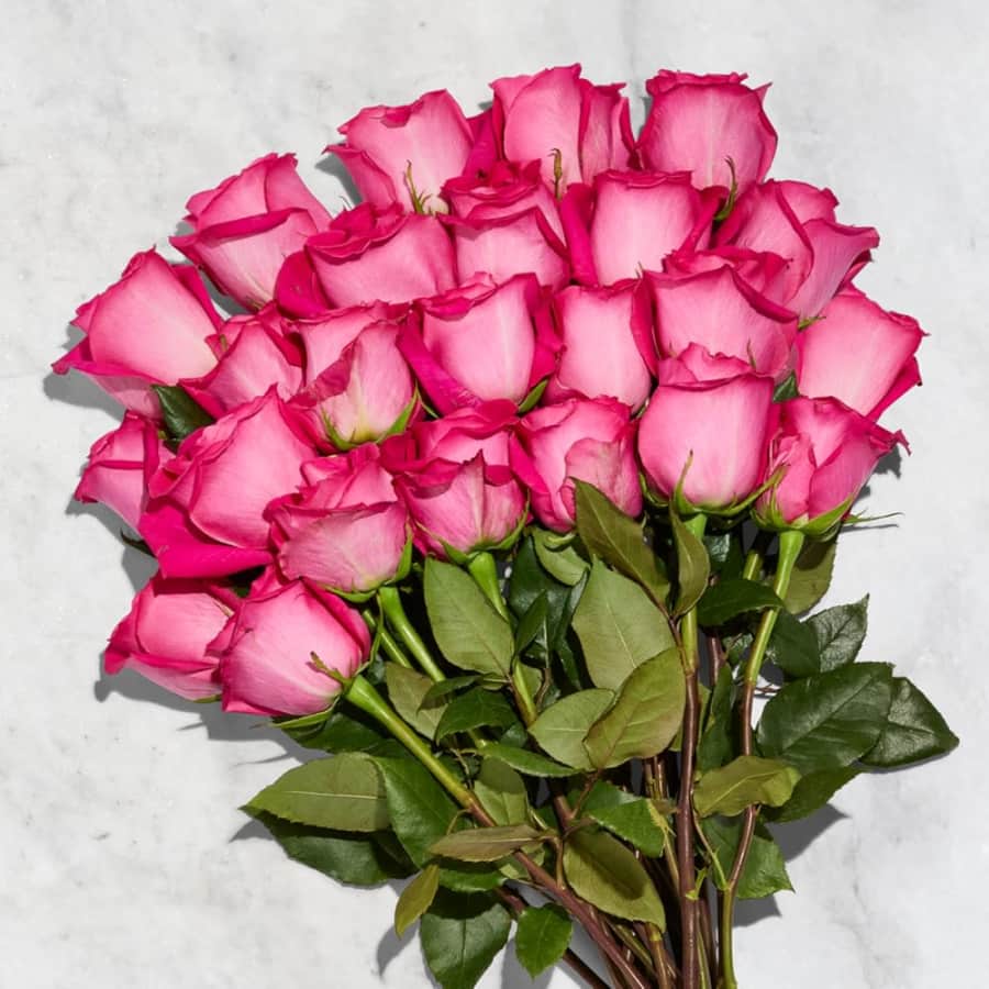 24-Stem Roses at Whole Foods: $30 w/ Prime on Feb 11 24-Stem Roses at Whole Foods: $30 w/ Prime on Feb 11