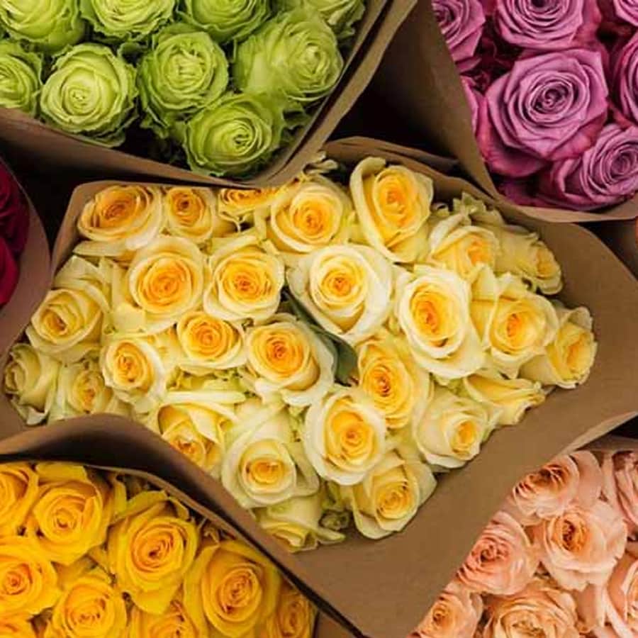 36 Farmer's Color Choice Roses: $40 36 Farmer's Color Choice Roses: $40