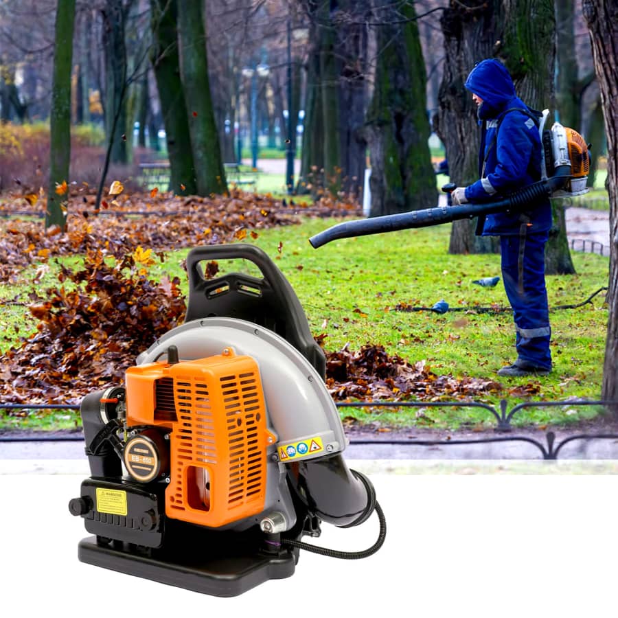 65cc Gas-Powered Backpack Leaf Blower: $78