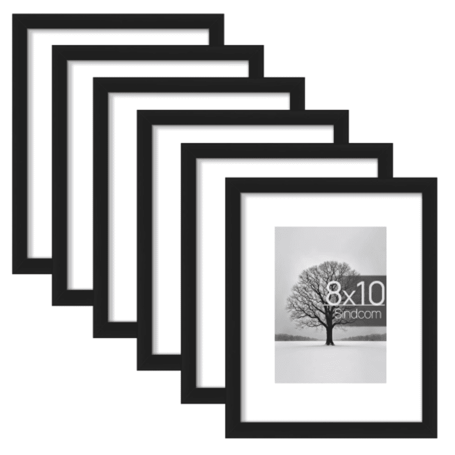 8" x 10" Pictured Frame 6-Pack: $17