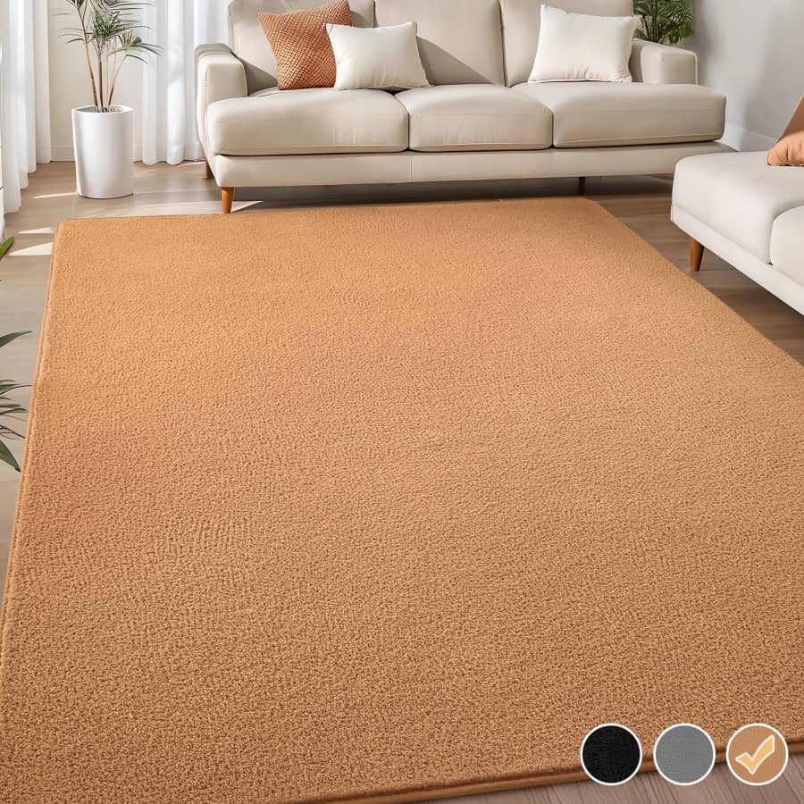 Nefoso 5x8-Foot Low Pile Area Rug: $19.99