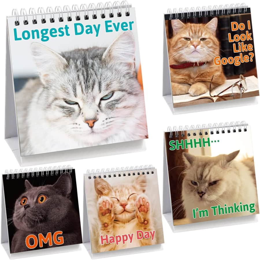 30-Count Cat Desk Signs: $5.99