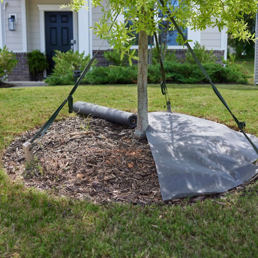 Sta-Green 100-ft x 3-ft Premium Weed Barrier Landscape Fabric: $19.98 Sta-Green 100-ft x 3-ft Premium Weed Barrier Landscape Fabric: $19.98