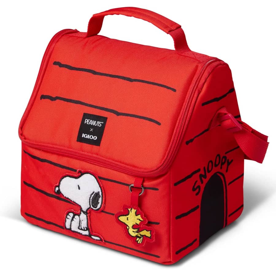 Igloo Water Bottle, Backpack, and Lunch Pail Black Friday Deals at Amazon: Up to 40% off