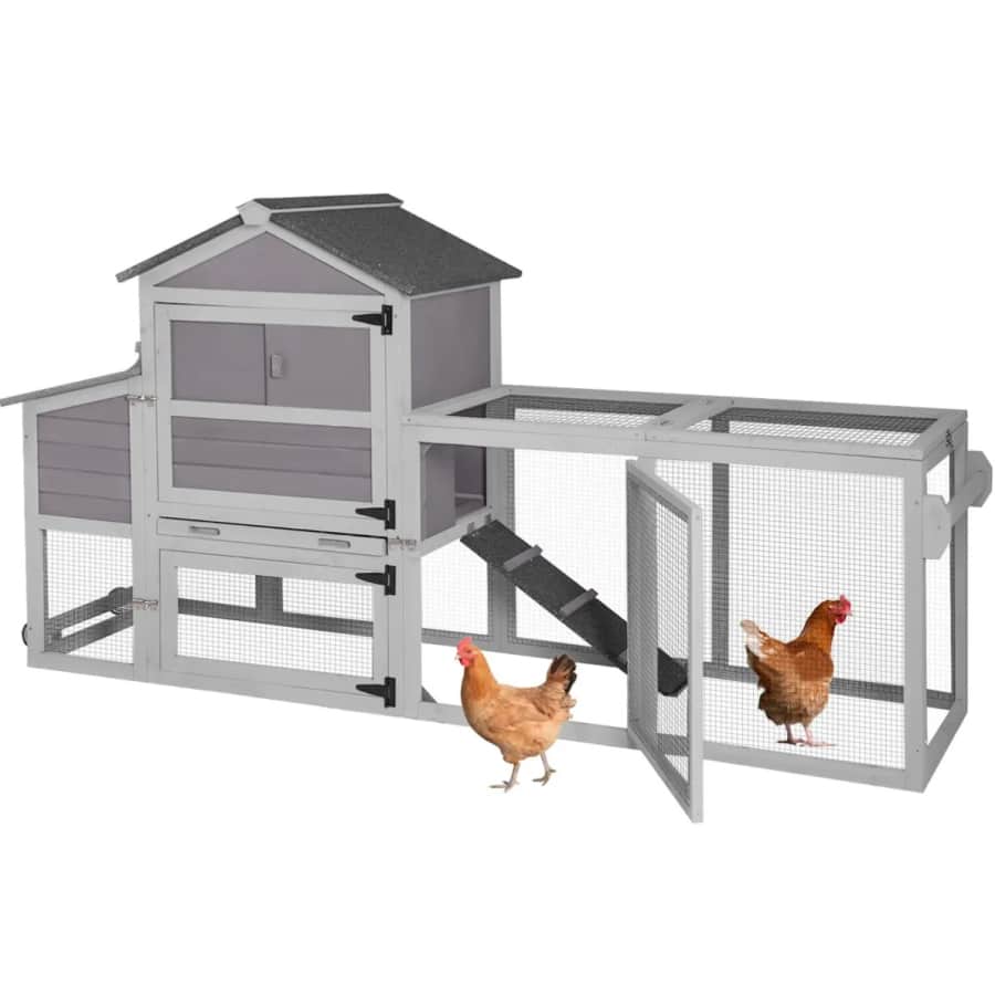 Outdoor Pet Essentials Deals at Wayfair: Up to 74% off