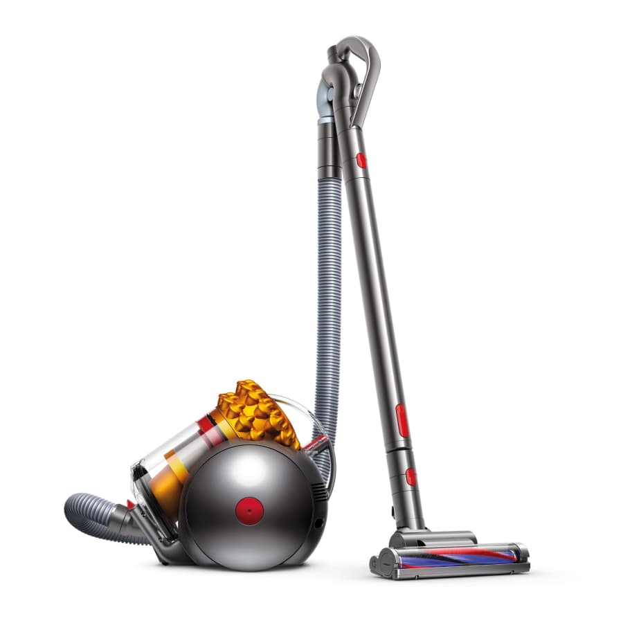 Dyson Big Ball Multi Floor Canister Vacuum: $200