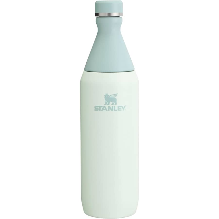 Stanley All Day Slim 20-oz. Bottle: $15