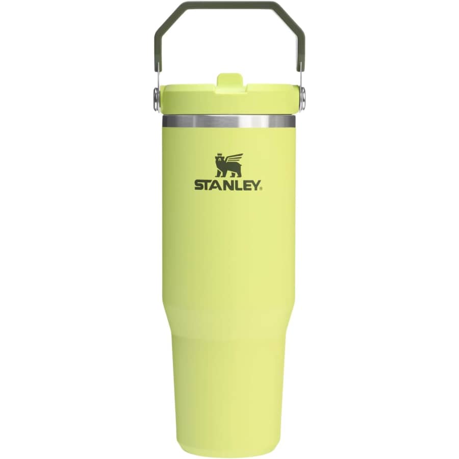 Stanley IceFlow 2.0 30-oz. Flip Straw Tumbler: $23