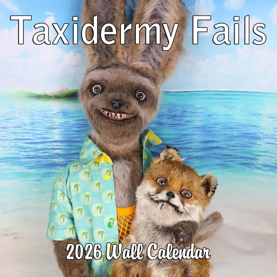 Taxidermy Fails 2026 Wall Calendar: $7.99 Taxidermy Fails 2026 Wall Calendar: $7.99