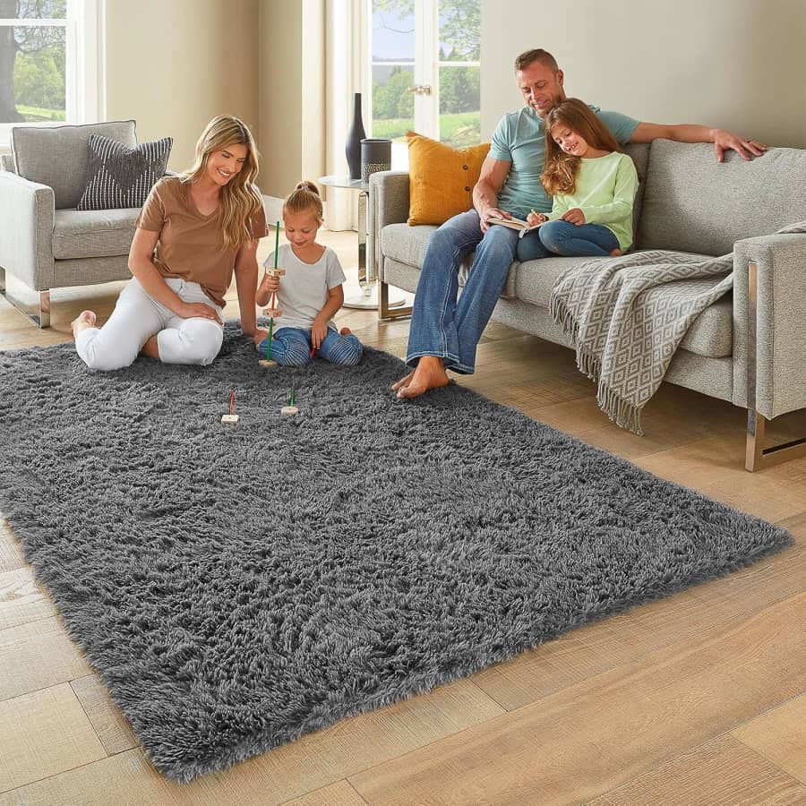 4x6-Foot Shaggy Area Rug: $9 4x6-Foot Shaggy Area Rug: $9