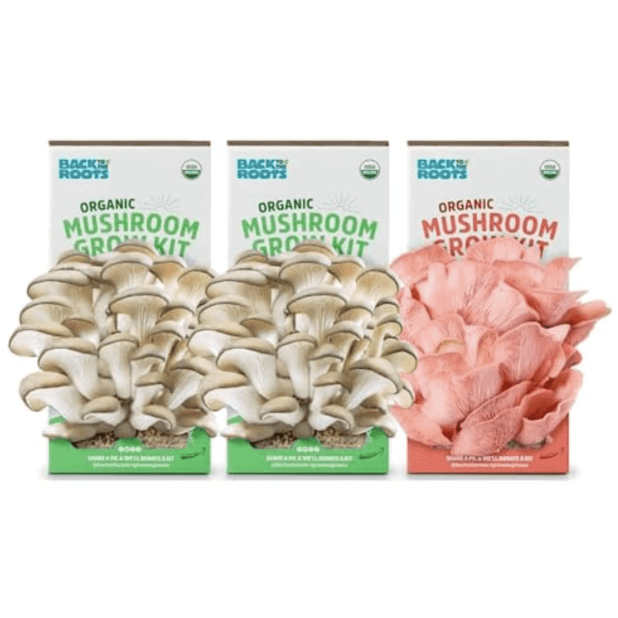 Back to the Roots Organic Mushroom Grow Kit 3-Pack: $14 Back to the Roots Organic Mushroom Grow Kit 3-Pack: $14