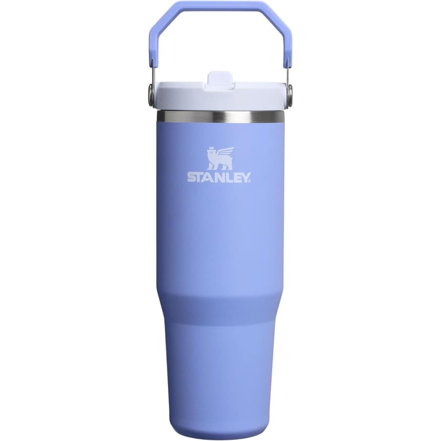 Stanley 30-oz. IceFlow Flip Straw Tumbler: $18