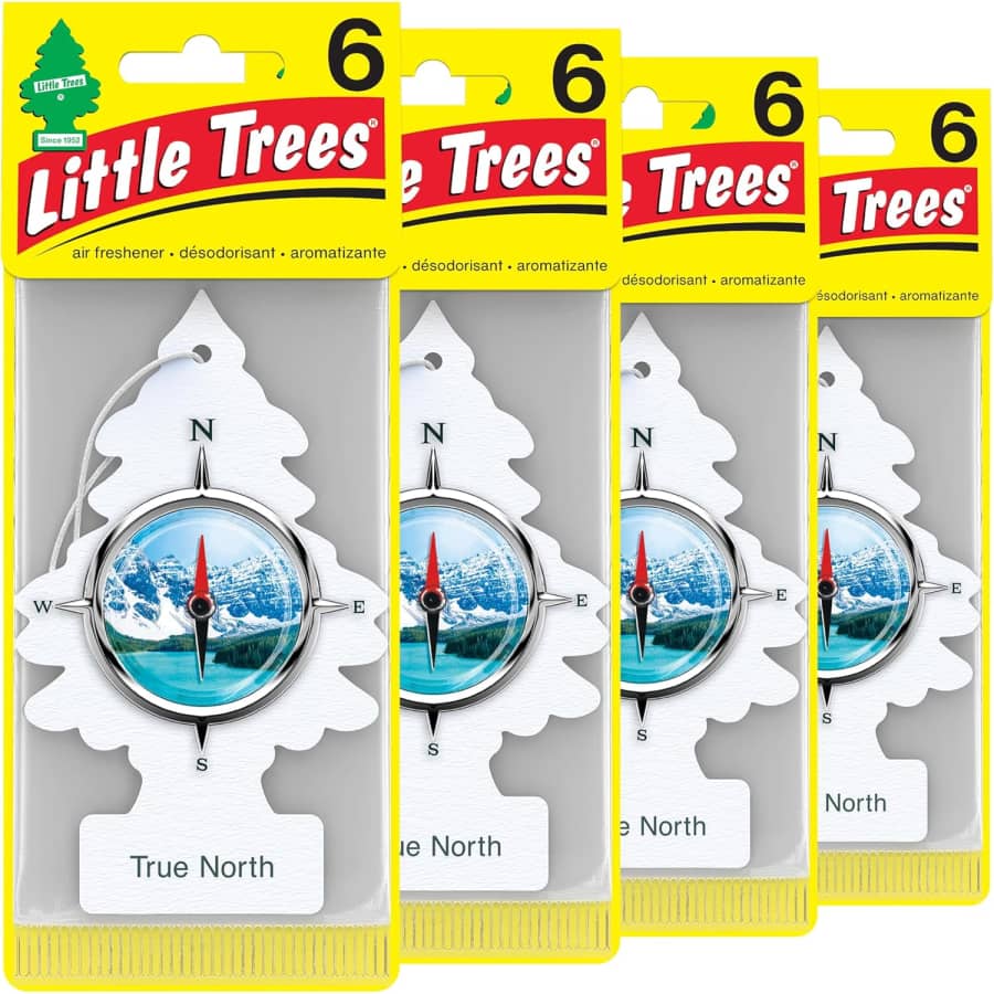 Little Trees Car Air Freshener 24-Pack: $7.99