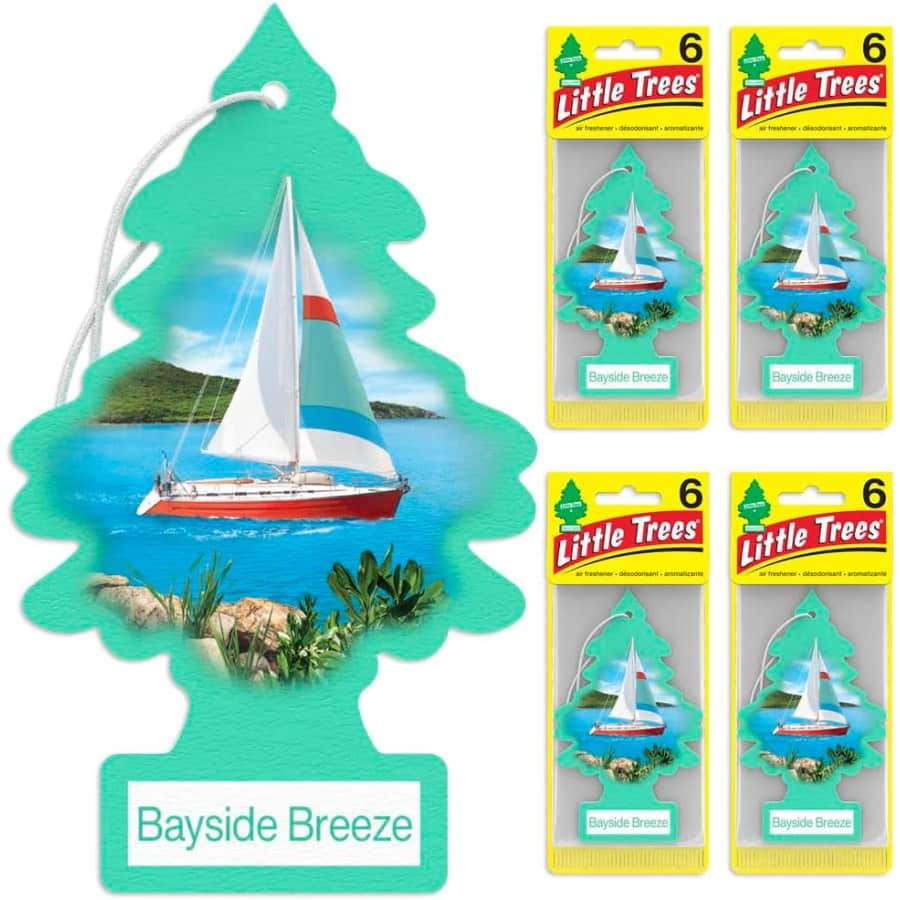 Little Trees Air Fresheners Car Air Freshener 24ct: $18