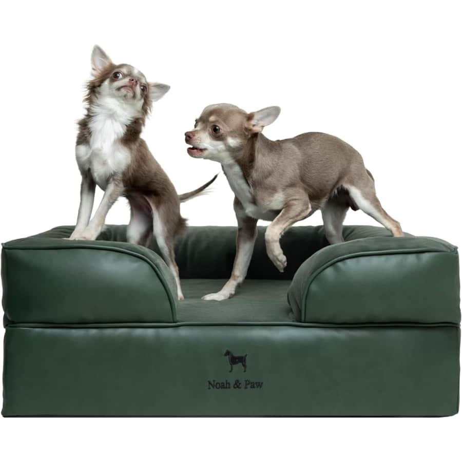 Noah & Paw Medium Orthopedic Dog Bed: $52.49 Noah & Paw Medium Orthopedic Dog Bed: $52.49