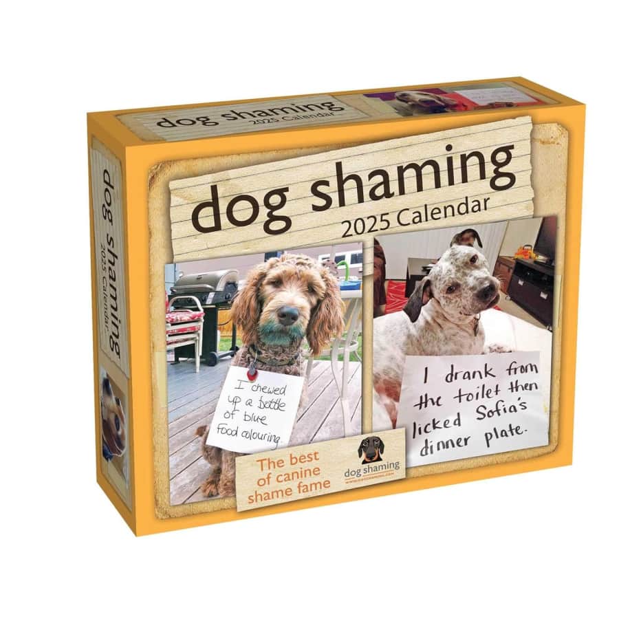 Dog Shaming 2025 Day-to-Day Calendar: $8.99