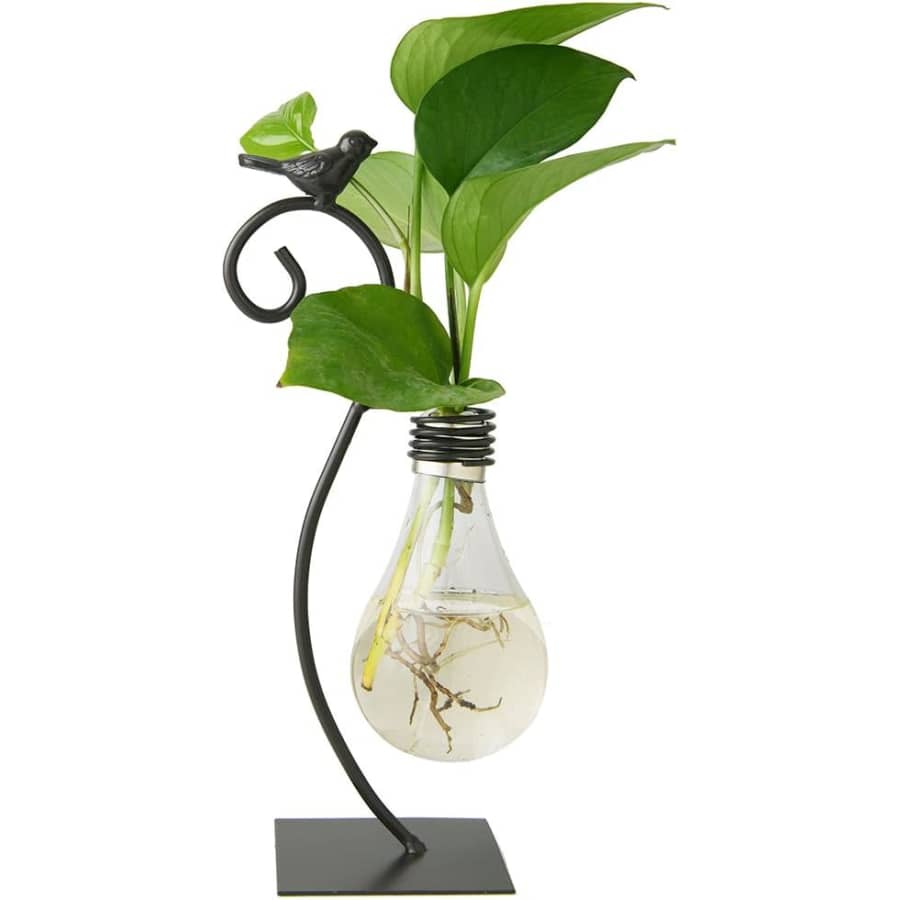 Marbrasse Desktop Glass Bulb Planter: $10 w/ Prime