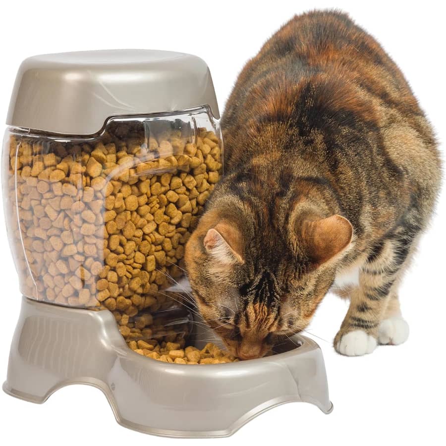 Petmate 3-lb. Pet Cafe Feeder: $6