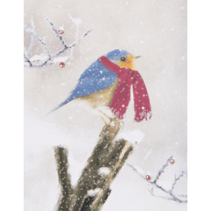 Holiday Boxed Cards at Barnes & Noble: BOGO 50% off