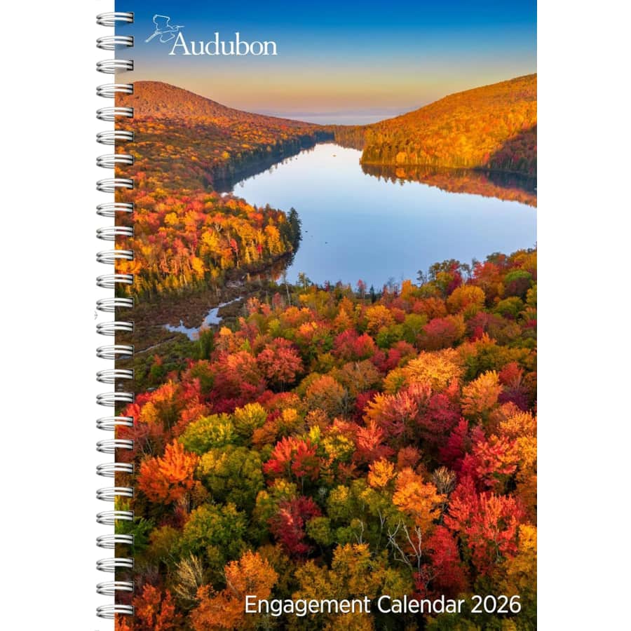 Audubon Engagement Calendar 2026: $16