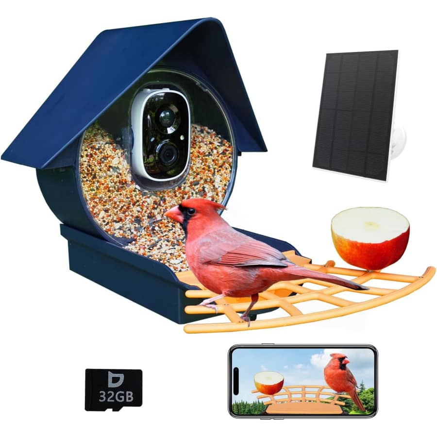 Birdkiss Smart Bird Feeder with Camera: $50