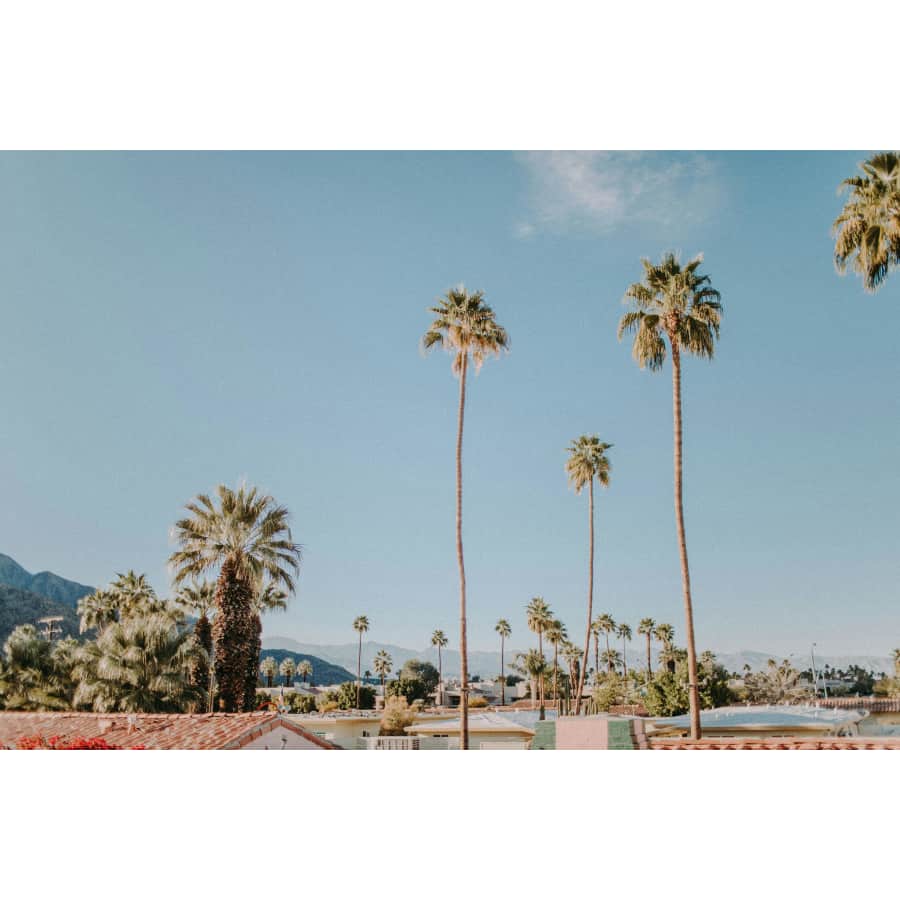 Hotel Stays in Greater Palm Springs: Up to 30% off Hotel Stays in Greater Palm Springs: Up to 30% off