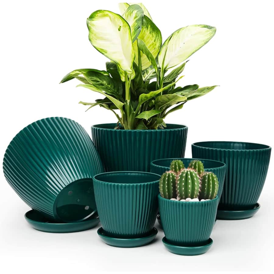 Indoor Plant Pot 6-Pack: $10