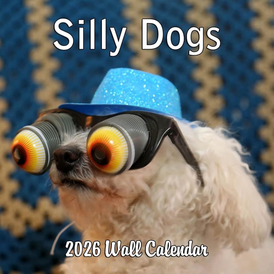2026 Silly Dogs Monthly Wall Calendar: $4.99