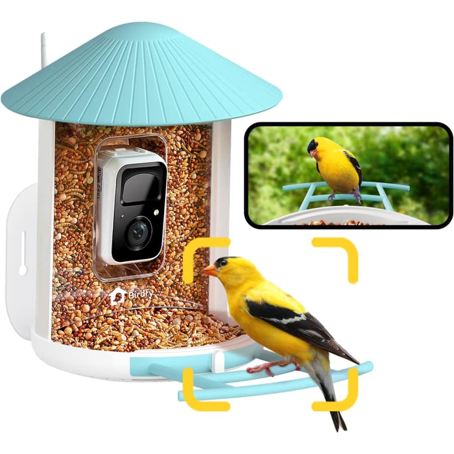 Netvue Birdfy Smart Bird Feeder w/ Camera: $116.99