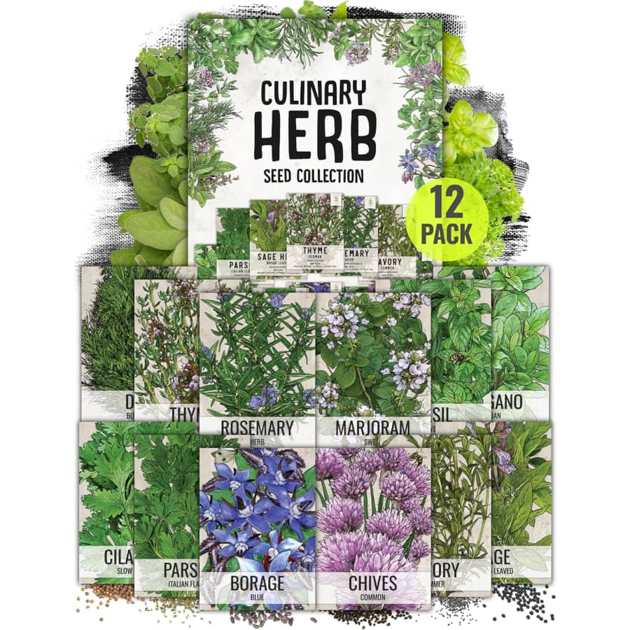 Seed Needs Herb Seeds Variety 12-Pack: $7.99 Seed Needs Herb Seeds Variety 12-Pack: $7.99
