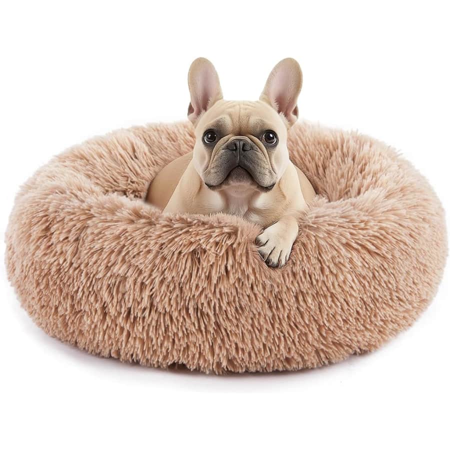 Sweetcrispy Calming Donut Pet Bed: $9