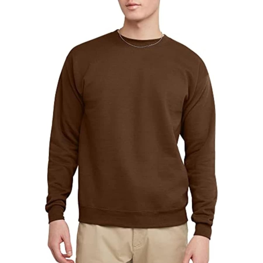Hanes Men's EcoSmart Fleece Crewneck Sweatshirt: $11