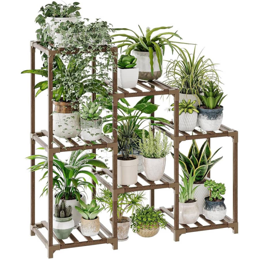 Live Plant Deals at Amazon: Up to 63% off Live Plant Deals at Amazon: Up to 63% off