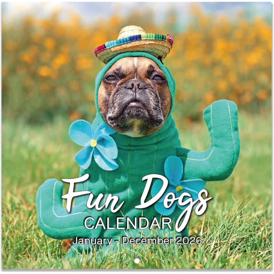 Cute Puppies Wall Calendar 2026: $5.09 Cute Puppies Wall Calendar 2026: $5.09
