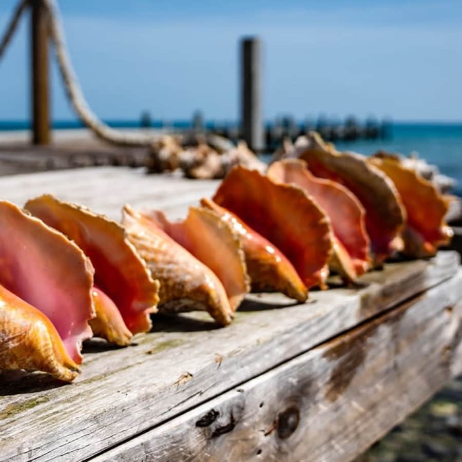 Stays at The Cove Eleuthera Bahamas: Up to $1,000 Resort Credit Stays at The Cove Eleuthera Bahamas: Up to $1,000 Resort Credit