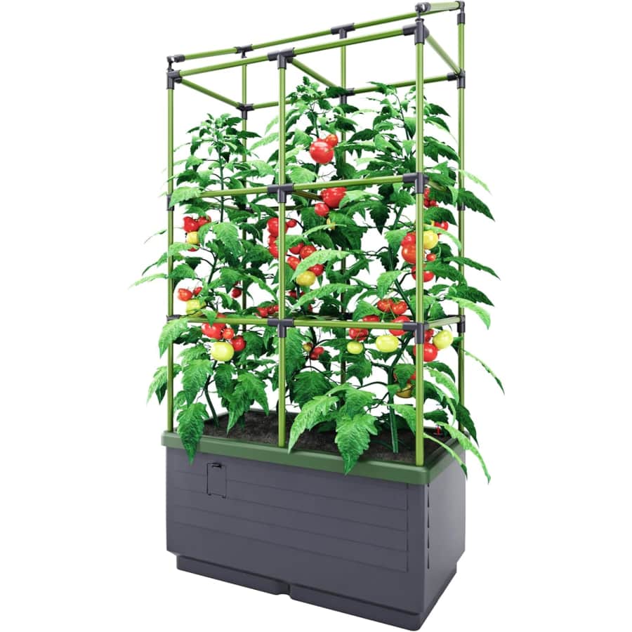 BioGreen Raised Garden Bed with Trellis: $41
