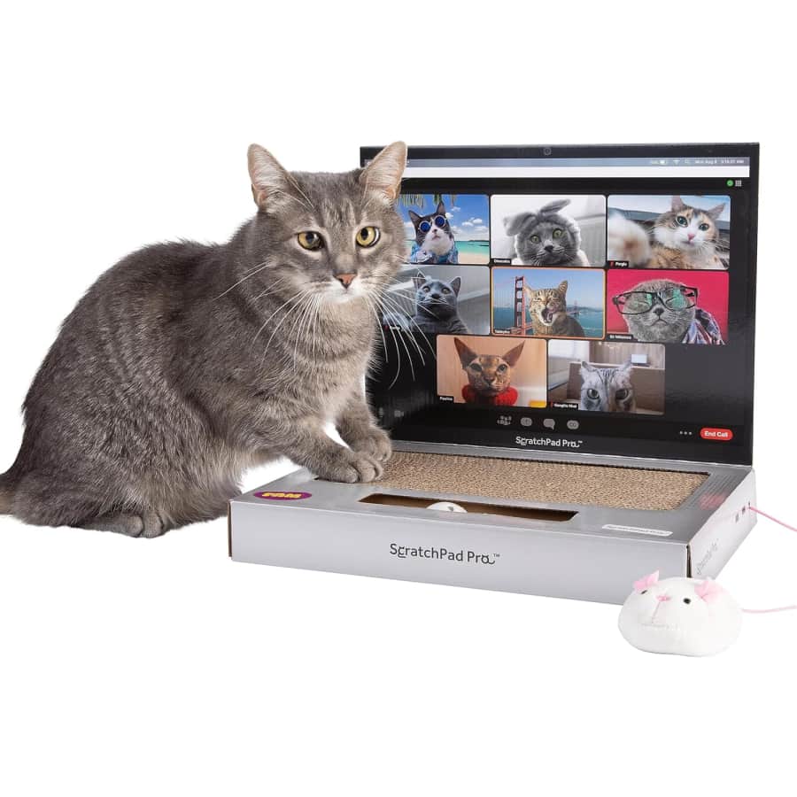 ScratchPad Pro Cardboard Laptop Cat Scratcher: $12 ScratchPad Pro Cardboard Laptop Cat Scratcher: $12