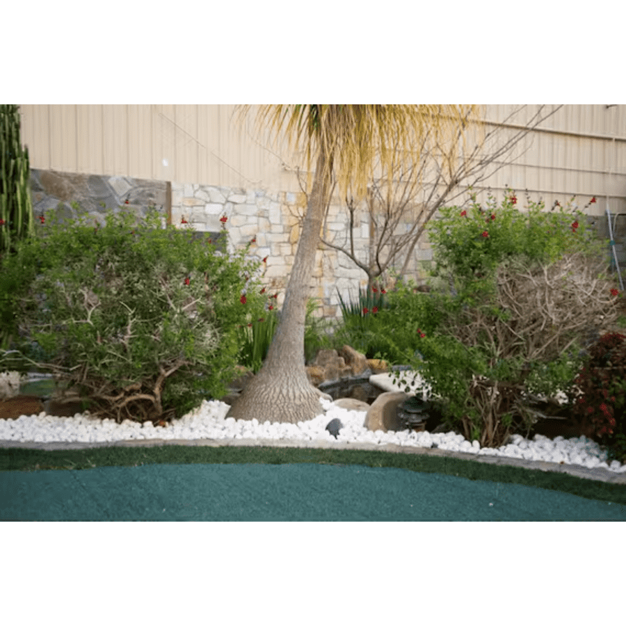 MSI Himalaya White Bagged Landscape Pebbles: 33% off MSI Himalaya White Bagged Landscape Pebbles: 33% off