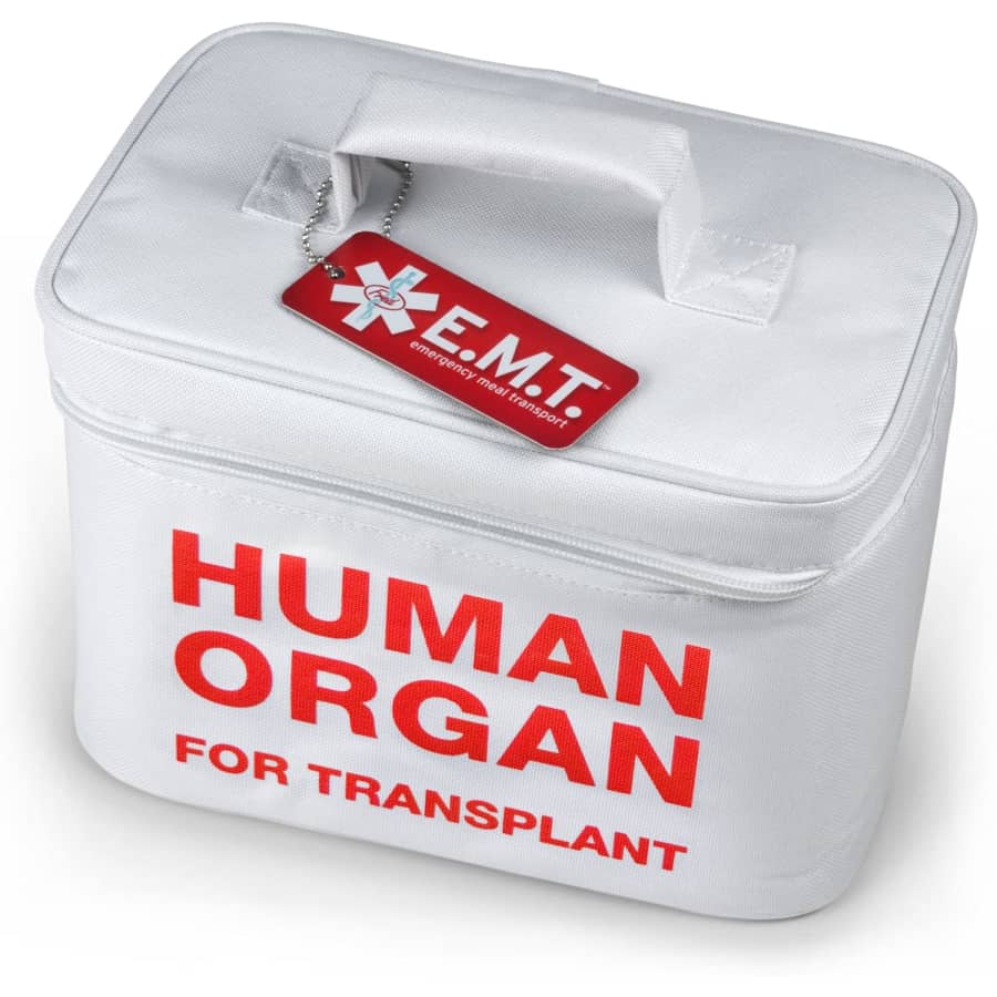 E.M.T Insulated Lunch Tote: $10