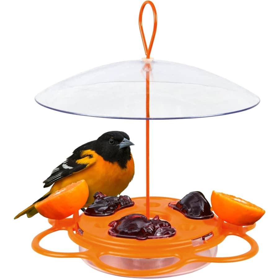 Nature's Way All-in-One Oriole Buffet Bird Feeder: $2.05