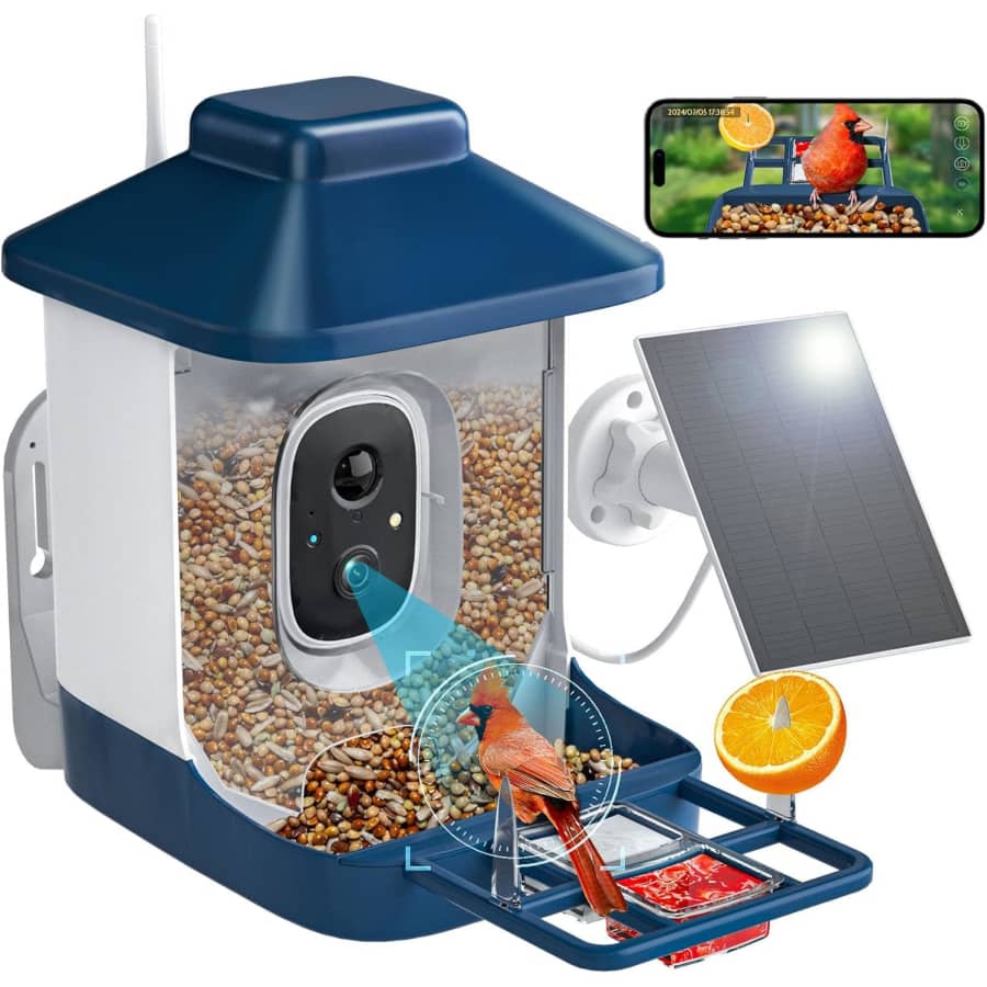 Smart Bird Feeder w/ 1080p Camera: $29.99