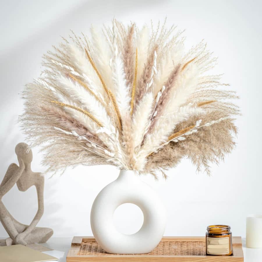Natural Dried Pampas Grass Sets: From $9
