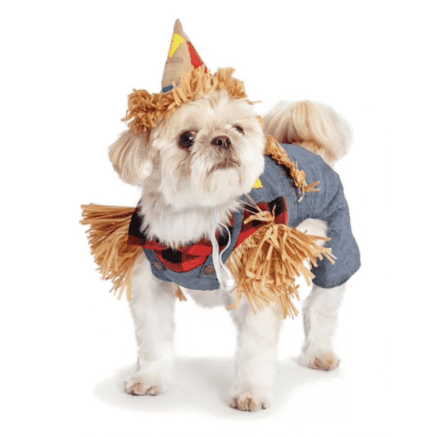 Halloween Pet Costumes & Accessories at Tractor Supply Co.: Up to 40% off Halloween Pet Costumes & Accessories at Tractor Supply Co.: Up to 40% off