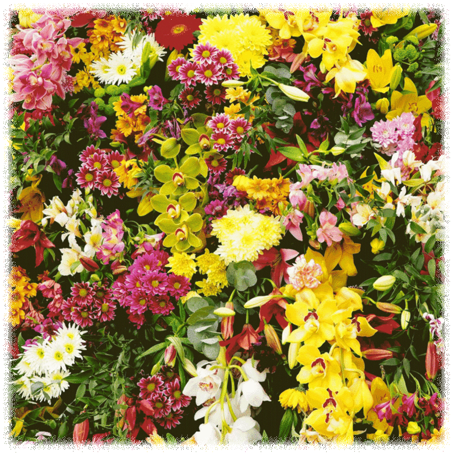 Touch Of ECO Assorted Flower Bulbs 100-Pack: $25