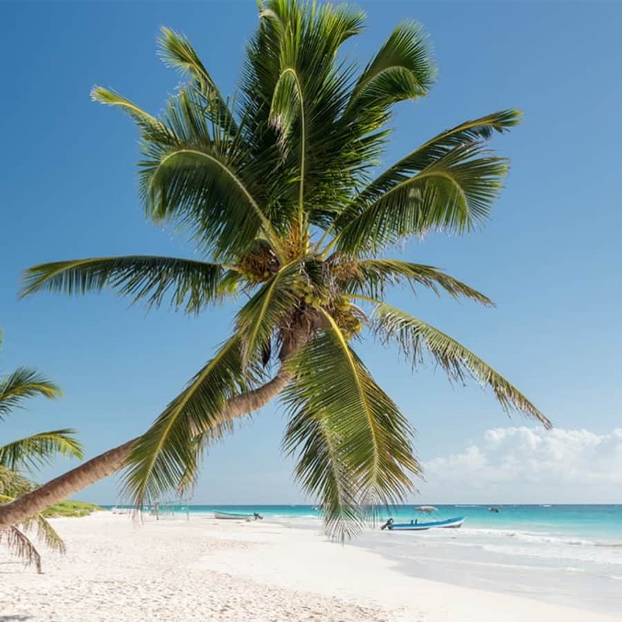 3-Night 5-Star Hilton Riviera Maya Flight & Resort Vacation: From $881 per person 3-Night 5-Star Hilton Riviera Maya Flight & Resort Vacation: From $881 per person