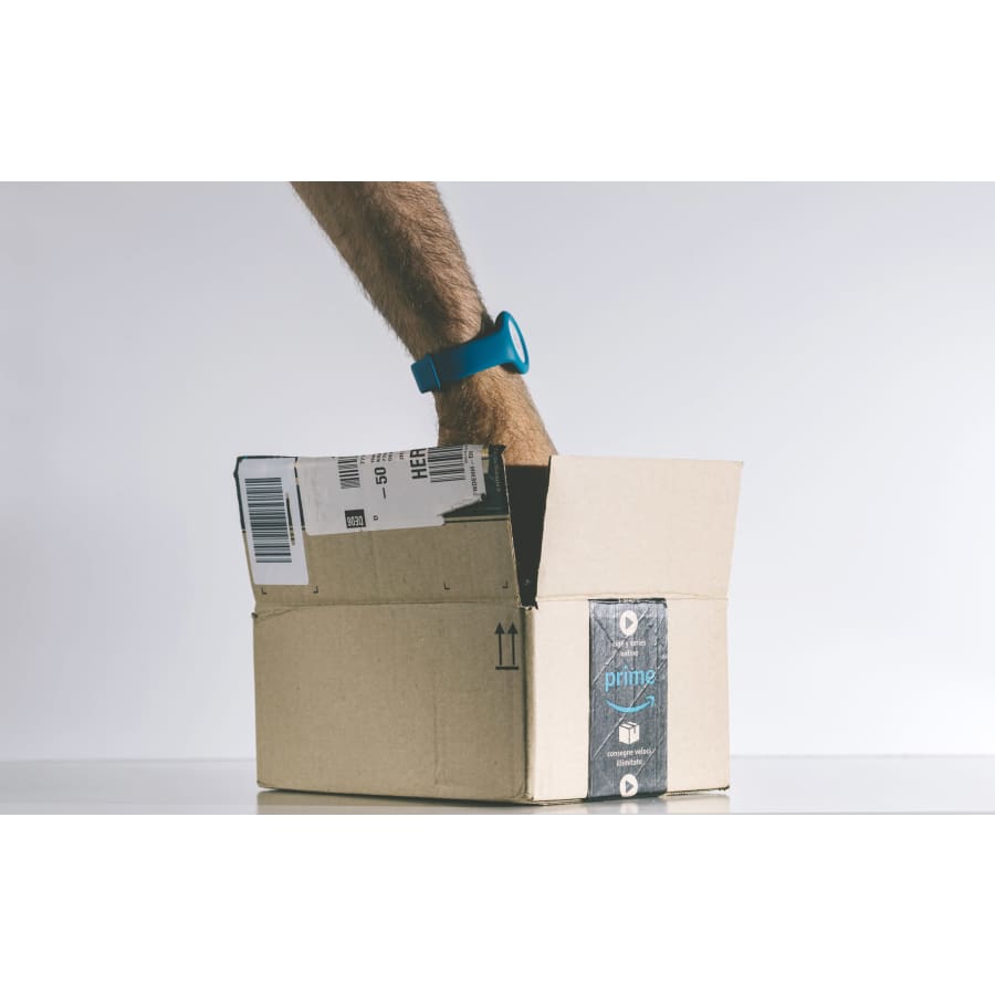 Amazon Haul $1 Flash Sale: Everything $1 Amazon Haul $1 Flash Sale: Everything $1