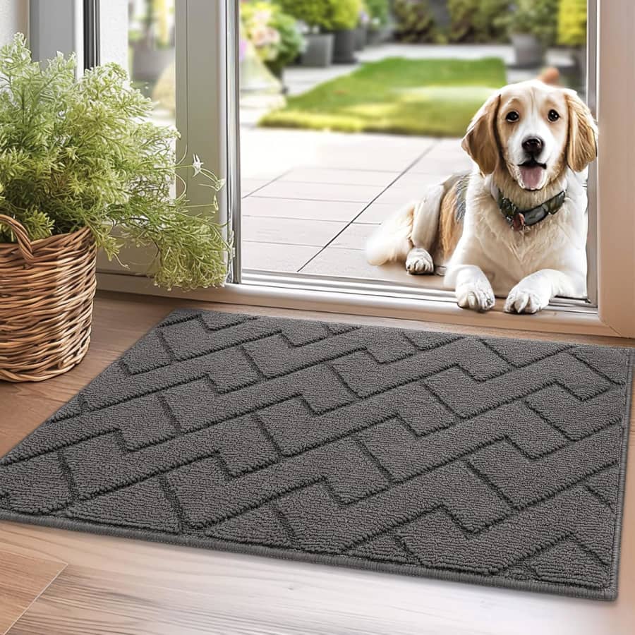 20"x31.5" Indoor Doormat: $9.17